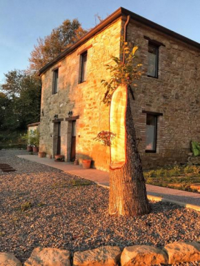 LA TANA DEL PICCHIO Neviano Degli Arduini